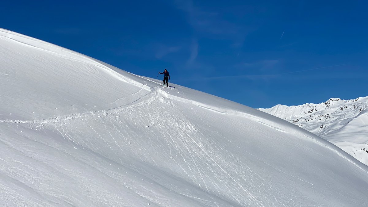 Peter Hoffmann tweet media