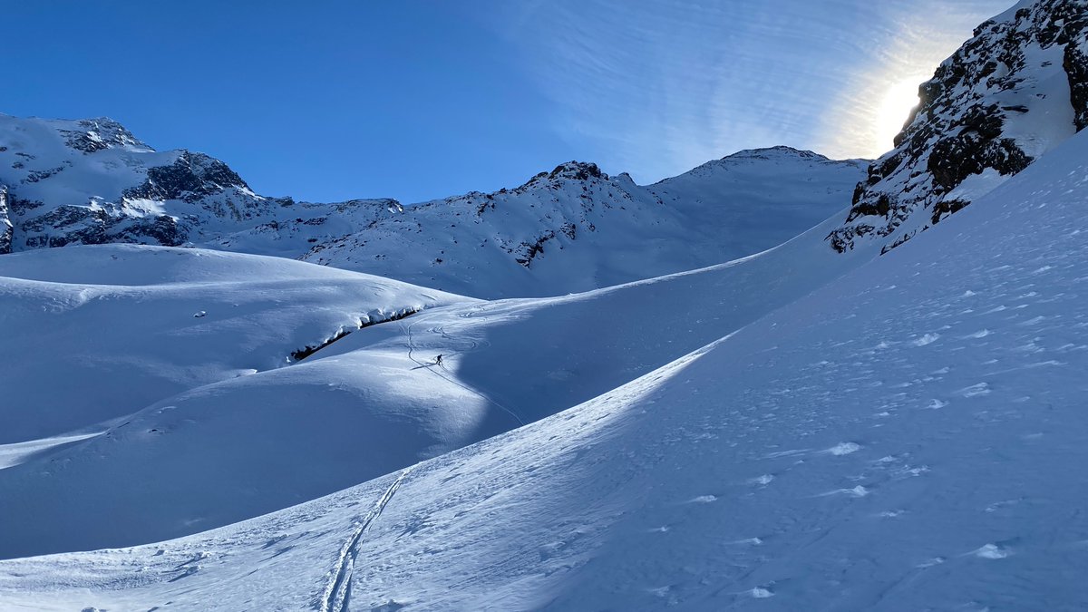 Peter Hoffmann tweet media