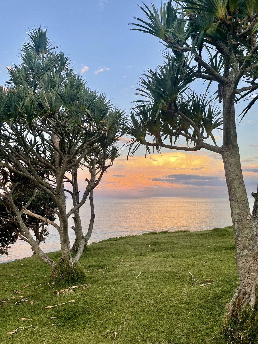 MP 974👨🏽‍🏫🌍⏳🏺🐈🐝✈️🇷🇪🇫🇷 tweet media