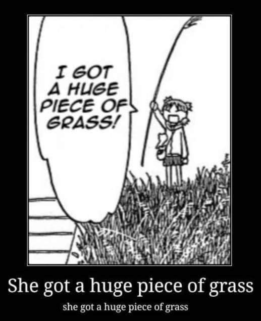 lonelyisolation's tweet photo. she touched grass (i didnt) https://t.co/RYniz8Q4un