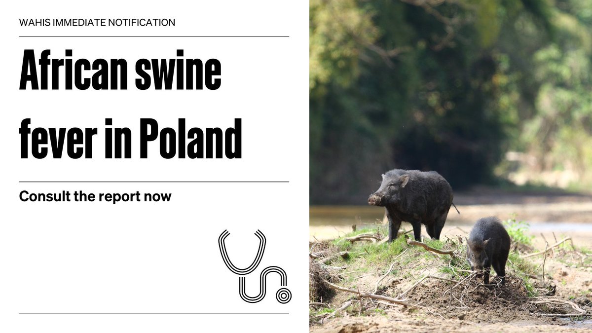 World Organisation for Animal Health tweet media