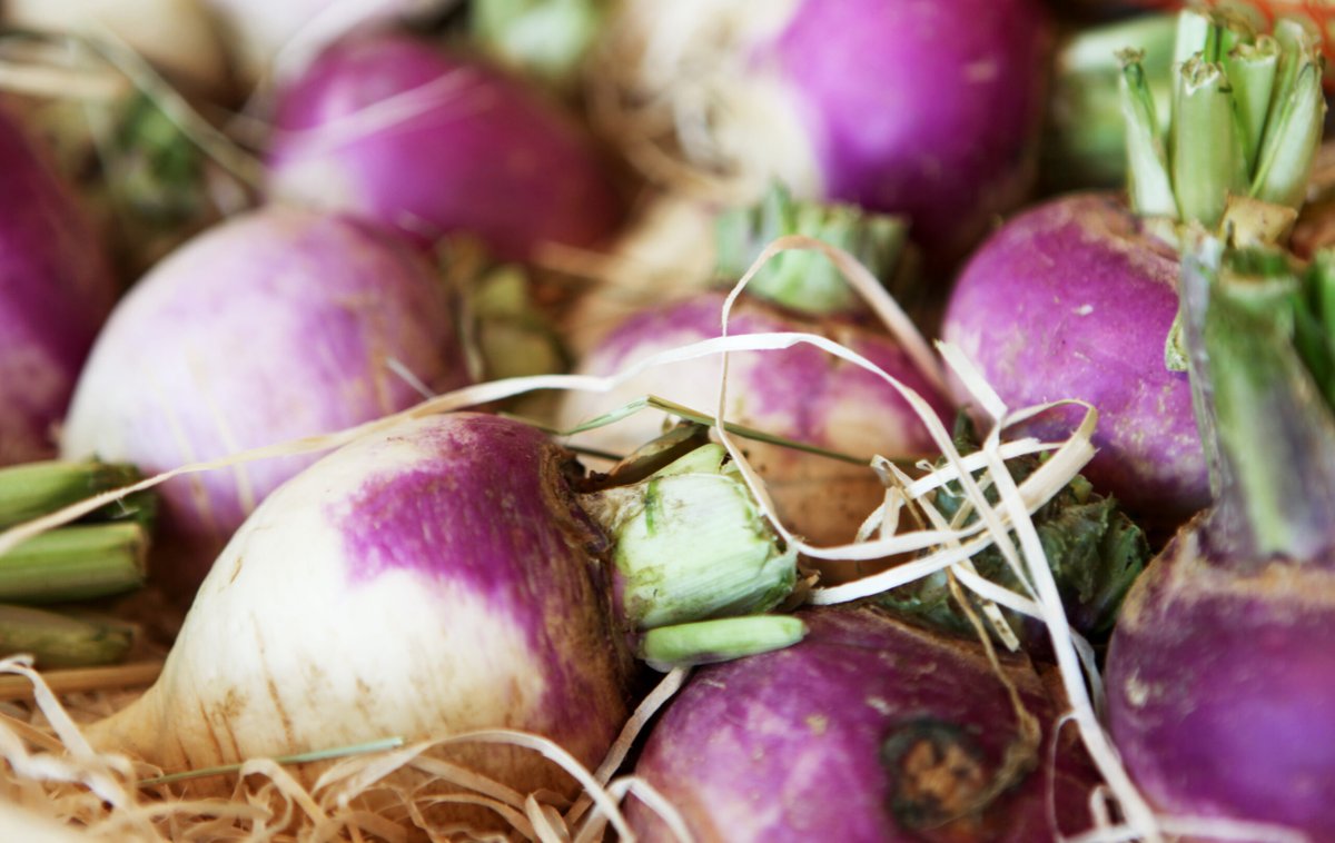 Redécouvrez les légumes racines cariboumag.com/articles/retou…