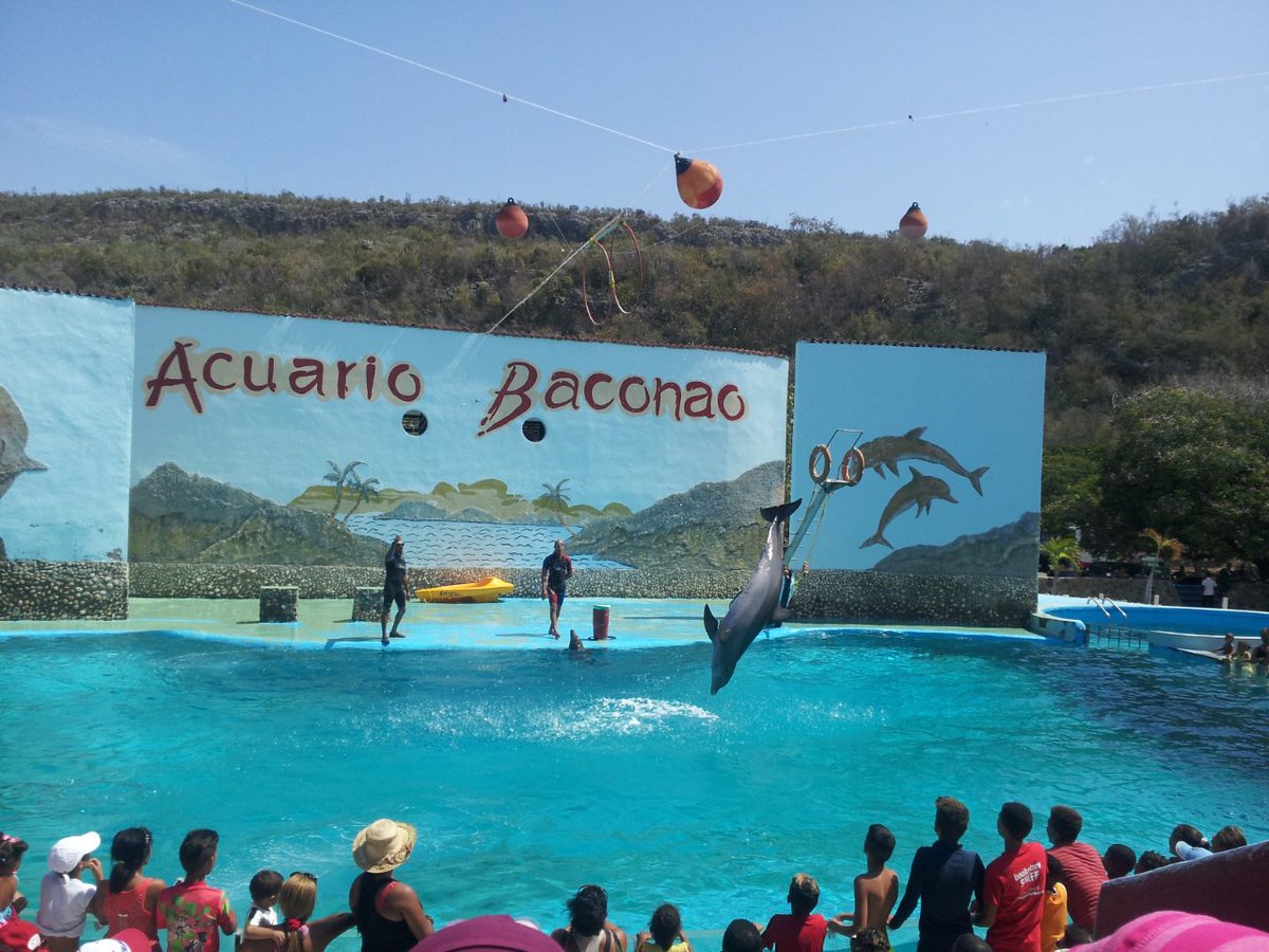 grupo_fauna's tweet photo. El acuario de Baconao, un lugar ideal para disfrutar del baño con los delfines
Somos el @grupo_fauna
#ffstgo
#GeffTurismo
#MINAGCuba https://t.co/6qZw5YkCIM