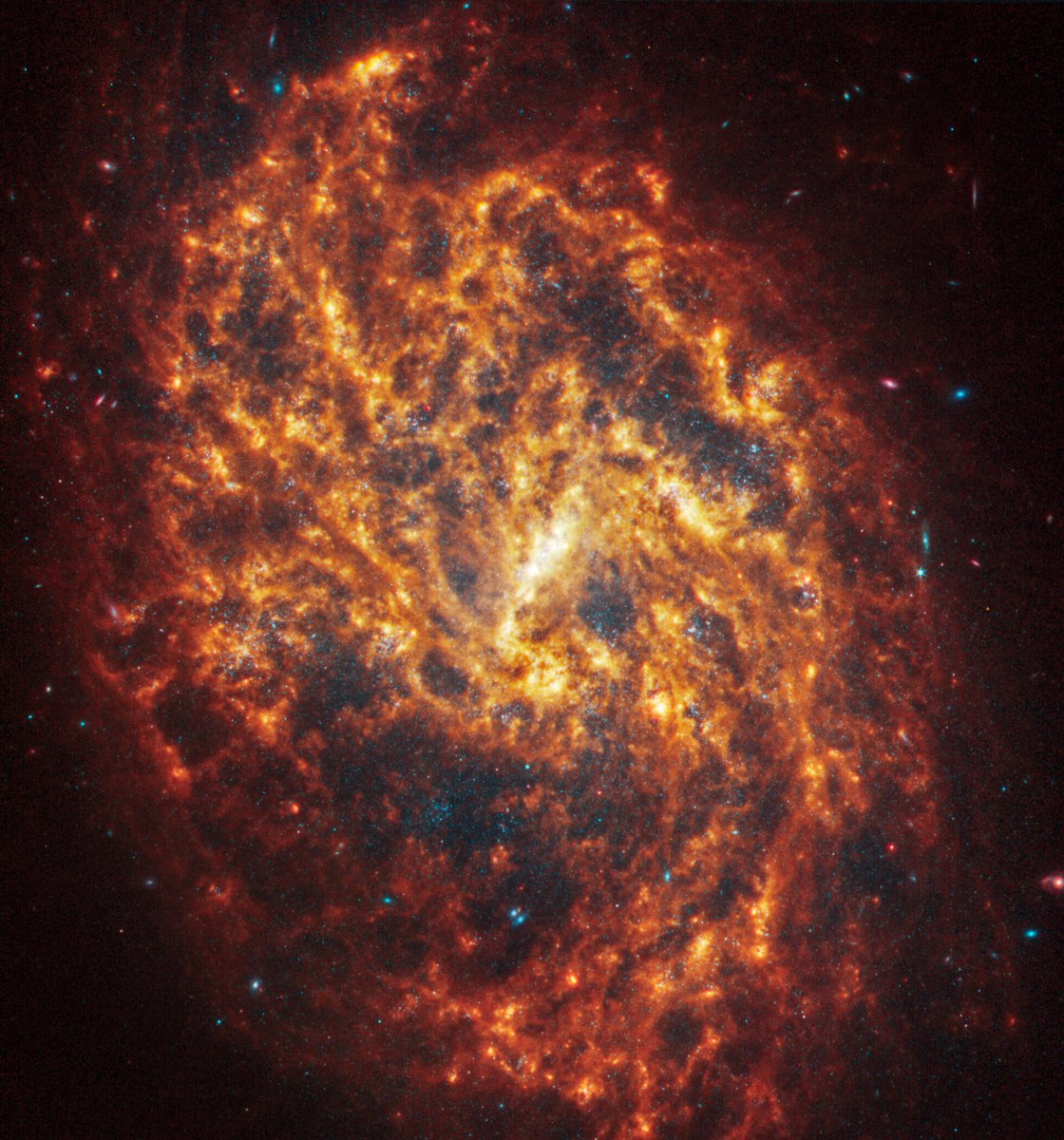 esa's tweet photo. 🤩✨ The NASA/ESA/CSA James #Webb Space Telescope has uncovered a treasure trove of 19 spiral galaxies!

This new set of exquisite images show stars, gas, and dust on the smallest scales ever observed beyond our own galaxy.

To see all the images 👉 https://t.co/gsdi1TvyIk