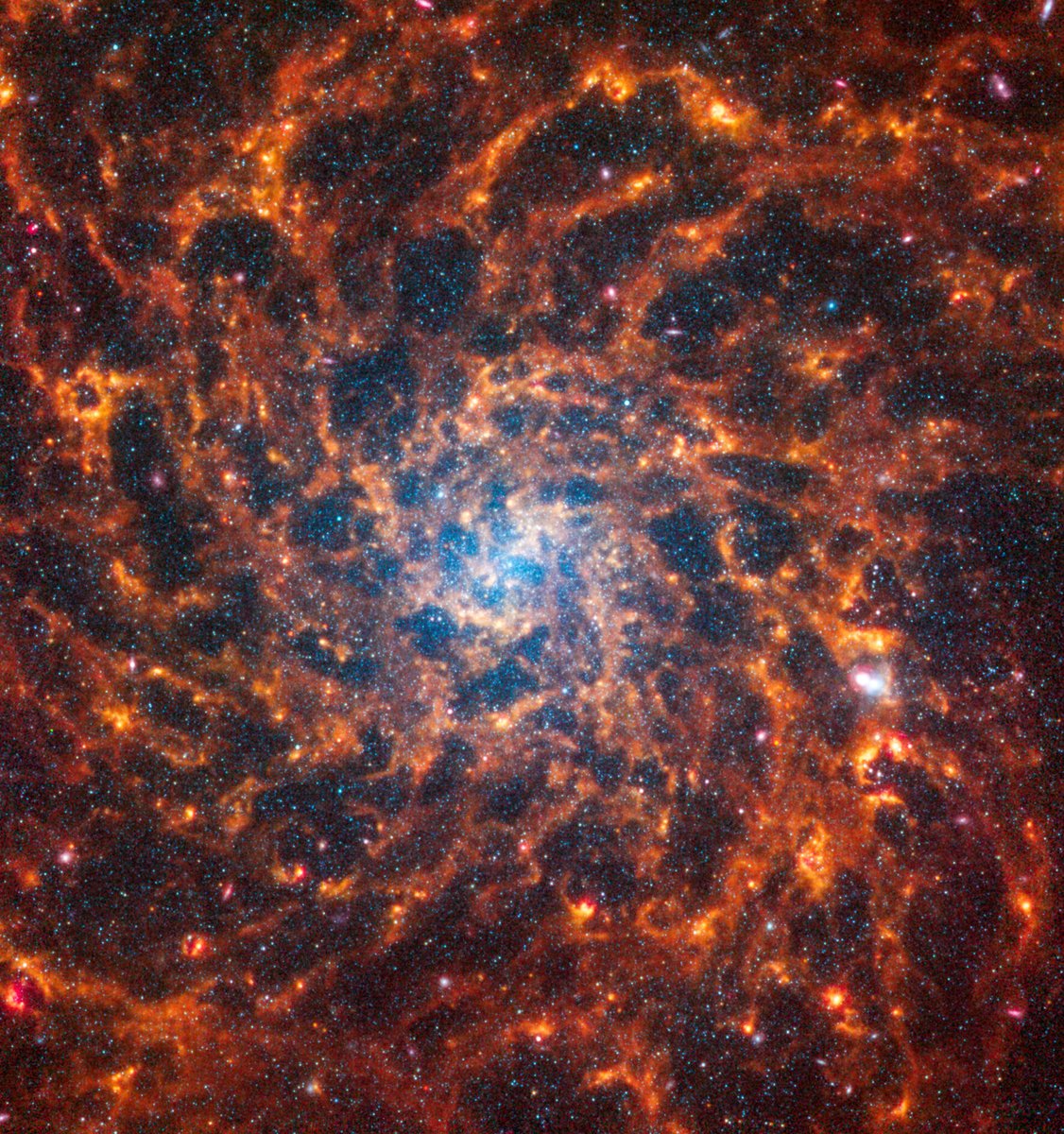 esa's tweet photo. 🤩✨ The NASA/ESA/CSA James #Webb Space Telescope has uncovered a treasure trove of 19 spiral galaxies!

This new set of exquisite images show stars, gas, and dust on the smallest scales ever observed beyond our own galaxy.

To see all the images 👉 https://t.co/gsdi1TvyIk