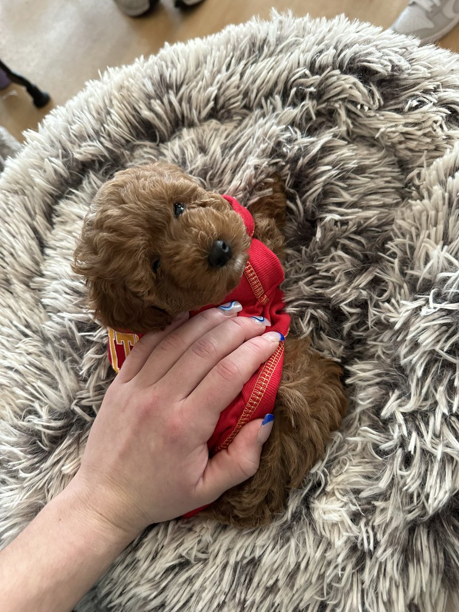 KENNADY ESTES tweet media