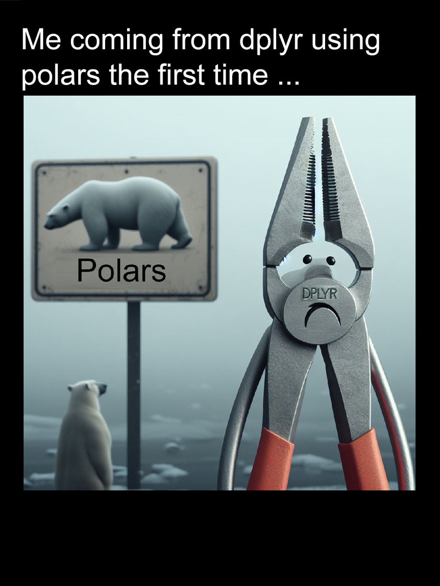 #RStats and #pydata meme time:

This is how I felt when playing around with polars 🐻‍❄️. 
It makes life so much easier when coming from pandas 🐼, but its still far from the smoothness dplyr 🔧  has to offer.