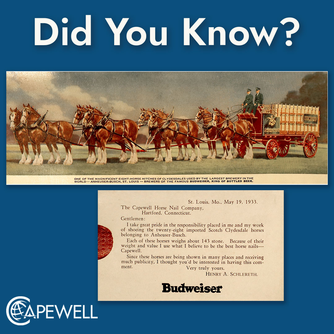 CapewellDefense's tweet photo. Did you know? Capewell Provided Horseshoe Nails to the Budweiser Clydesdales as far back as the 1930’s?

#Capewell #innovation #DidYouKnow #DYK #funfacts #capewellhorseshoenails #budweiser #budweiserclydesdales #clydesdalehorse #clydesdale https://t.co/ctOtKcXgum