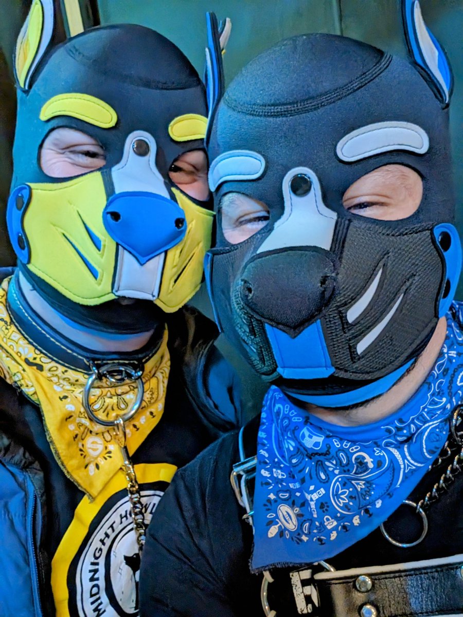 Saz_erac's tweet photo. A good weekend with the goodest boys. 

💛 @Lykos_pup 
🧡 @Degenerate_dawg 
❤️ @tobiasthered https://t.co/AalS3pIfBU