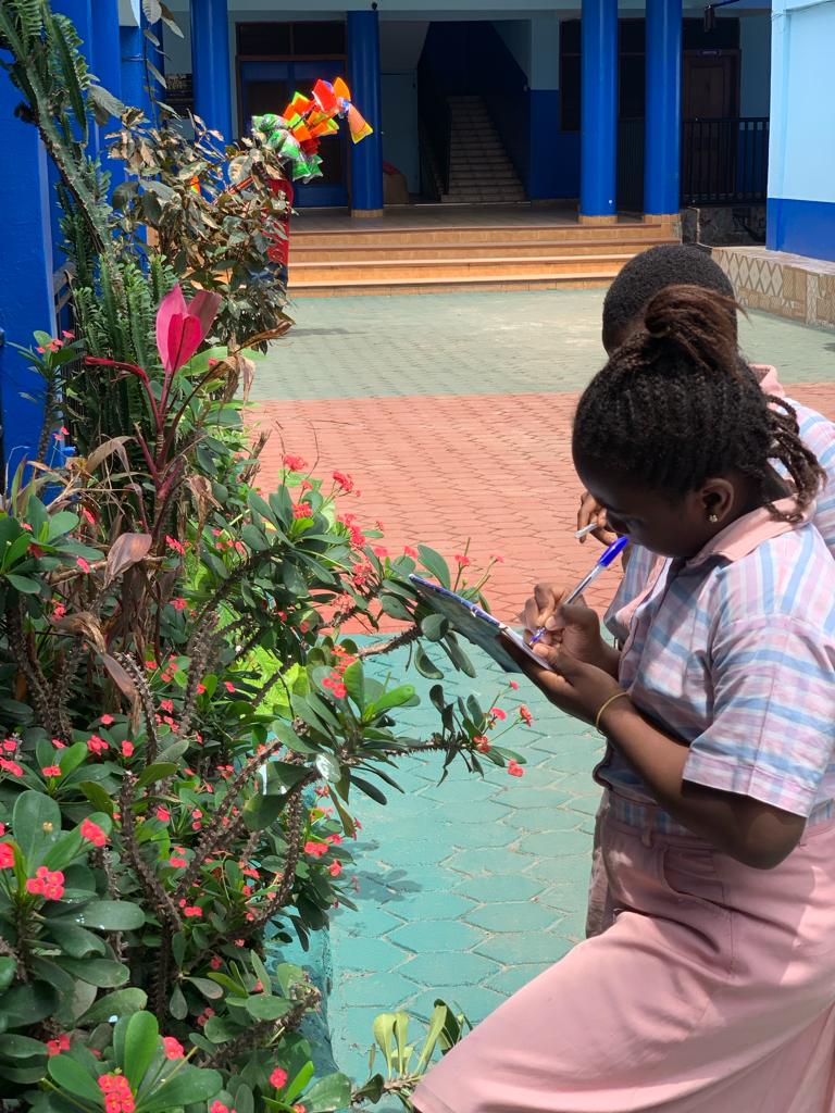 prac_sciencelab's tweet photo. Join us for a fun-filled practical session with our kids as we dive into the magical world of plants! From roots to leaves, let's unravel the secrets of each plant part together. They were introduced to a hands-on adventure that sparks curiosity from drawing to nature walks. https://t.co/CTfkPlfSXS