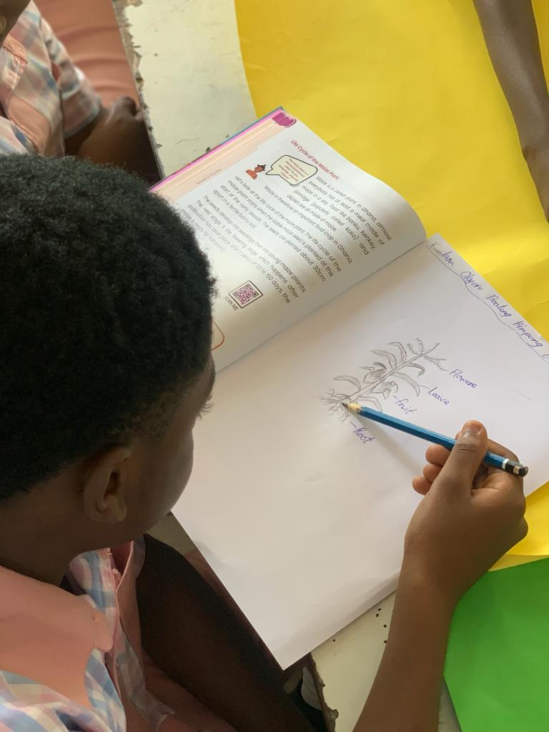 prac_sciencelab's tweet photo. Join us for a fun-filled practical session with our kids as we dive into the magical world of plants! From roots to leaves, let's unravel the secrets of each plant part together. They were introduced to a hands-on adventure that sparks curiosity from drawing to nature walks. https://t.co/CTfkPlfSXS