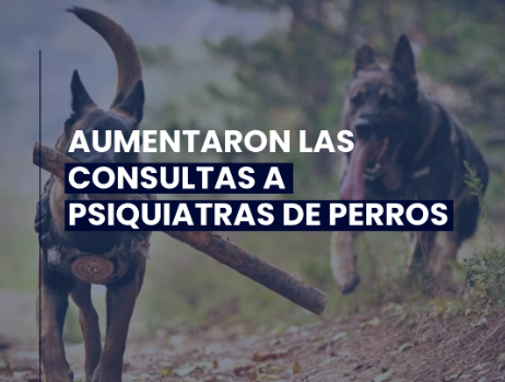 CesarCardozo83's tweet photo. Todos vamos a morir, por cosas como estas @TERMOpodcast https://t.co/abSsQAji7i