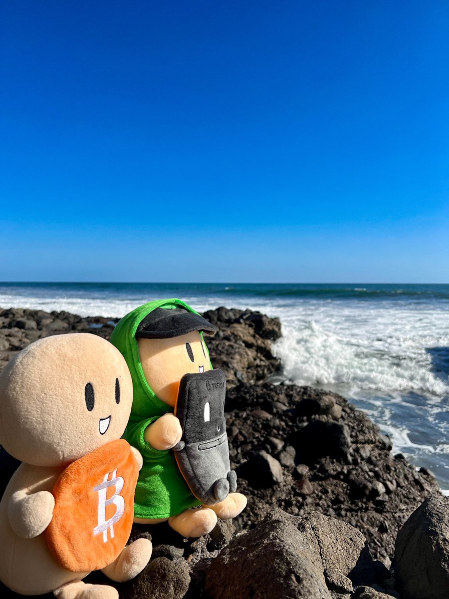 #LittleHODLer and #LittleTrezor chilling in El Zonte 😎