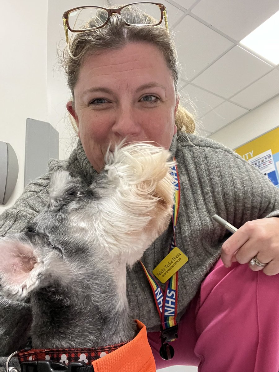 felicitytaylor-drewe@theFTD 💙 tweet media