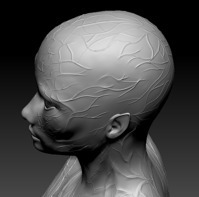 thelootverse's tweet photo. These models provide an in-depth visualization of the female arin's vascular network, illustrating the complexity of the venous system and highlighting the precision involved in designing such intricate biological features. #ArinVeins #AIEntity #ParallelWorld https://t.co/6dz70X04V3