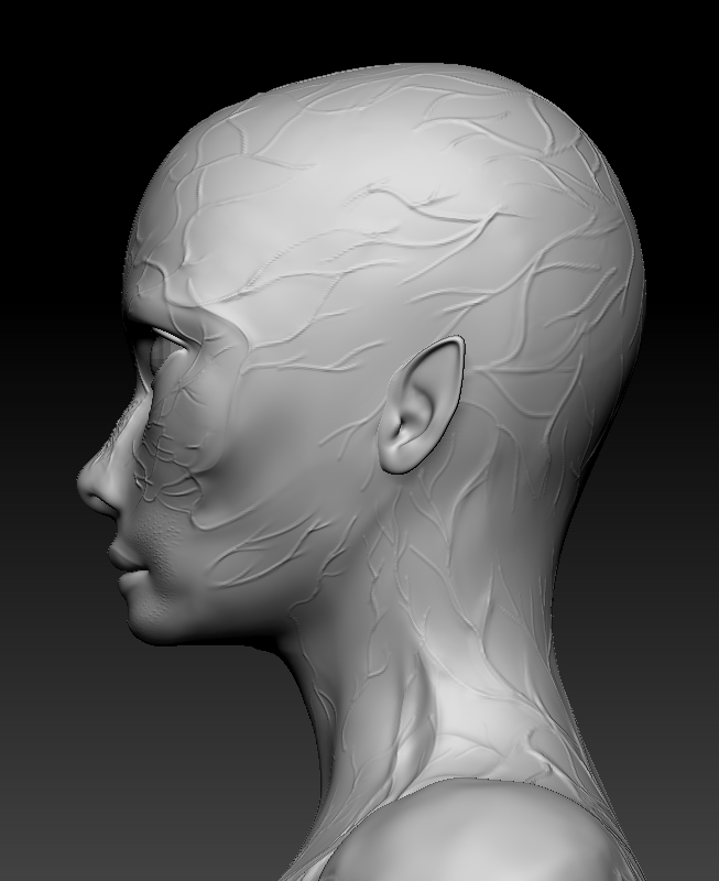 thelootverse's tweet photo. These models provide an in-depth visualization of the female arin's vascular network, illustrating the complexity of the venous system and highlighting the precision involved in designing such intricate biological features. #ArinVeins #AIEntity #ParallelWorld https://t.co/6dz70X04V3