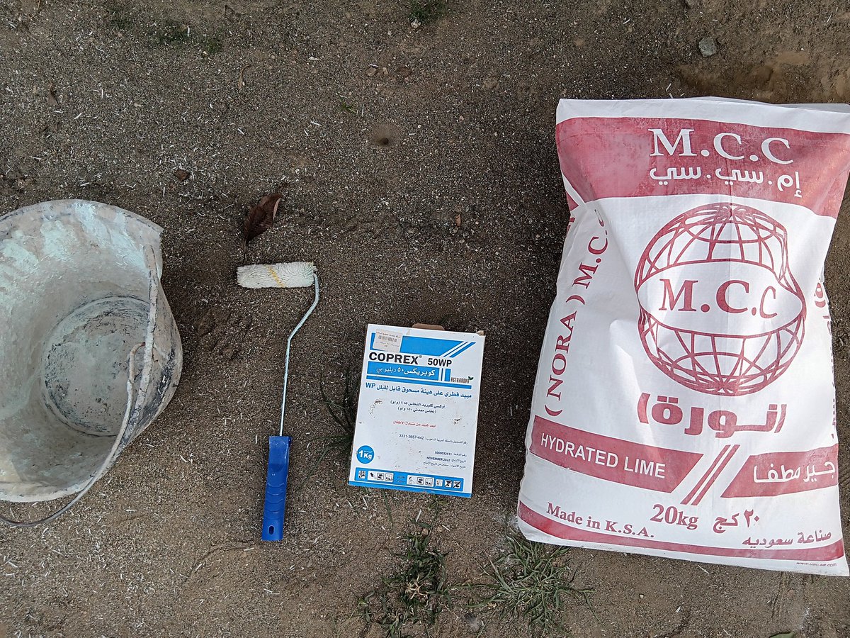 b7b_h's tweet image. جير مطفي (نوره) + مبيد فطري = عجينة بوردو
نخلطها مع بعض وندهن فيها جذوع الاشجار للوقايه من الاصابات الفطريه والحشريه