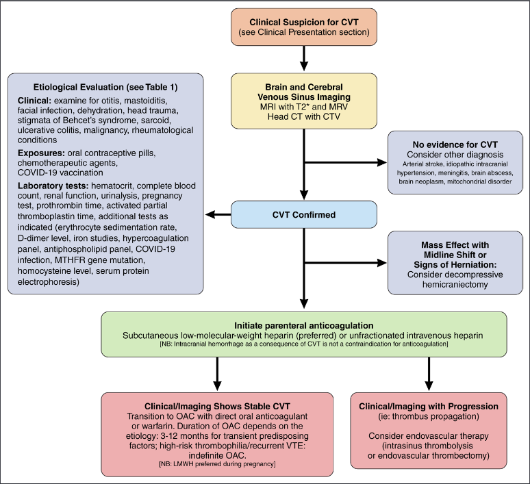 World Stroke Academy (@worldstrokeed) on Twitter photo #MondayTip
š§ Proposed #algorithm for the management of Cerebral Venous Thrombosis
š”Just released #Guidelines offer essential insights for diagnosis and management of #CVT
šGreat work by <a href="/gsaposnik/">Gustavo Saposnik š</a> <a href="/CBushnellMD/">Cheryl Bushnell, MD, MHS, FAHA</a> & all the writing group
<a href="/StrokeAHA_ASA/">Stroke AHA/ASA</a>⤵ļø
ahajournals.org/doi/abs/10.116⦠#MondayTip
š§ Proposed #algorithm for the management of Cerebral Venous Thrombosis
š”Just released #Guidelines offer essential insights for diagnosis and management of #CVT
šGreat work by <a href="/gsaposnik/">Gustavo Saposnik š</a> <a href="/CBushnellMD/">Cheryl Bushnell, MD, MHS, FAHA</a> & all the writing group
<a href="/StrokeAHA_ASA/">Stroke AHA/ASA</a>⤵ļø
ahajournals.org/doi/abs/10.116ā¦
