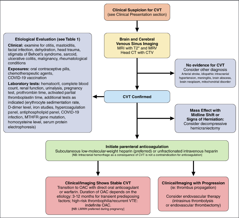 #MondayTip 🧠Proposed #algorithm for the management of Cerebral Venous Thrombosis 💡Just released #Guidelines offer essential insights for diagnosis and management of #CVT 🙌Great work by @gsaposnik @CBushnellMD & all the writing group @StrokeAHA_ASA⤵️ ahajournals.org/doi/abs/10.116…