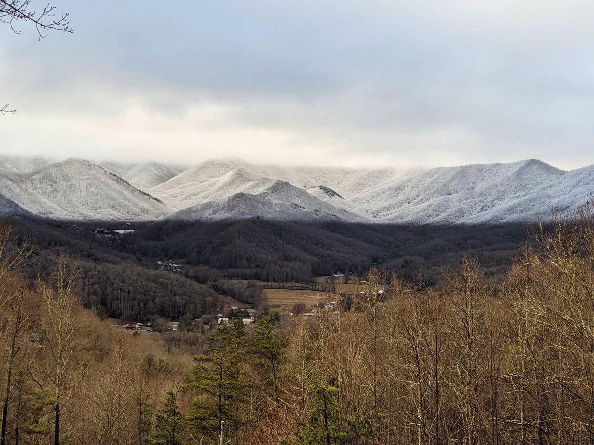 JasonBoyerWLOS's tweet photo. Check out the perfect snow line that Mardie Drolshagen captured 📸 this morning for her home in Stecoah! 
….
This is why we say, “mostly above 3,500 feet” in snow events like this. 
@WLOS_13 #wncwx #snOMG https://t.co/C4QRIWaAaw