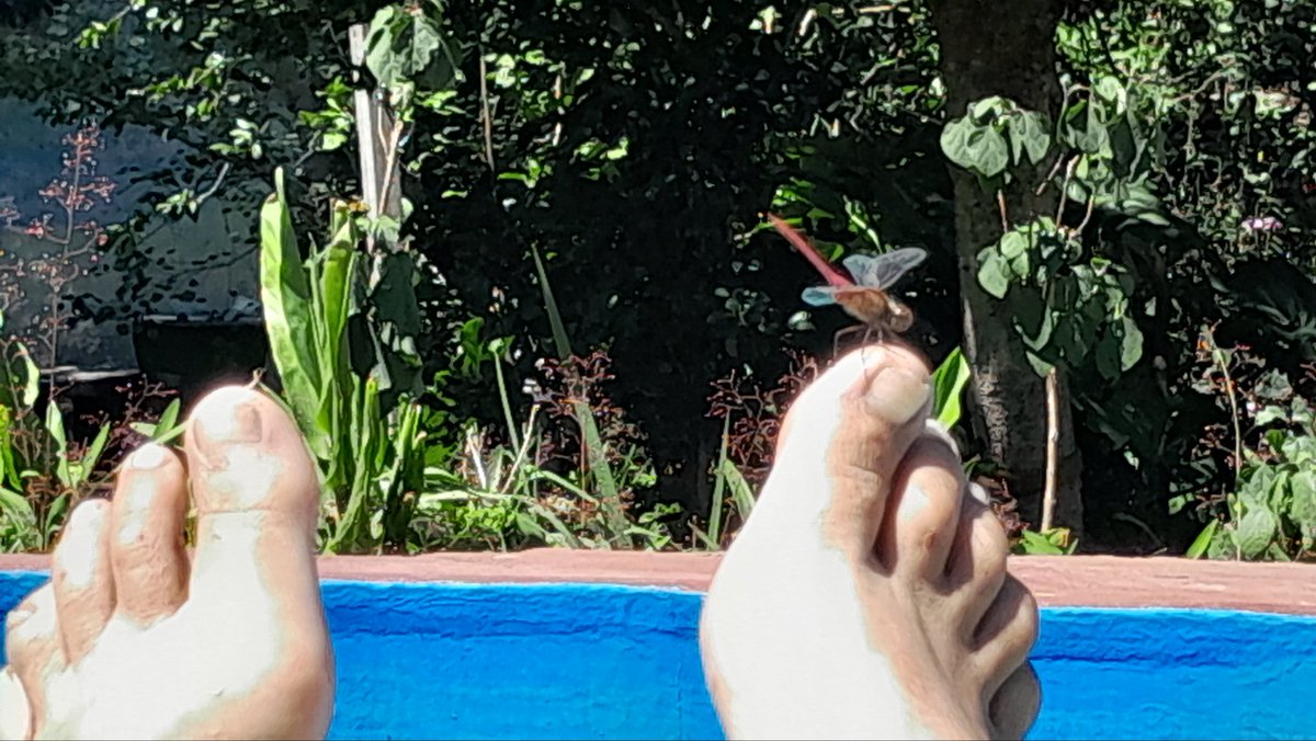 Patricia Fabeiro tweet media