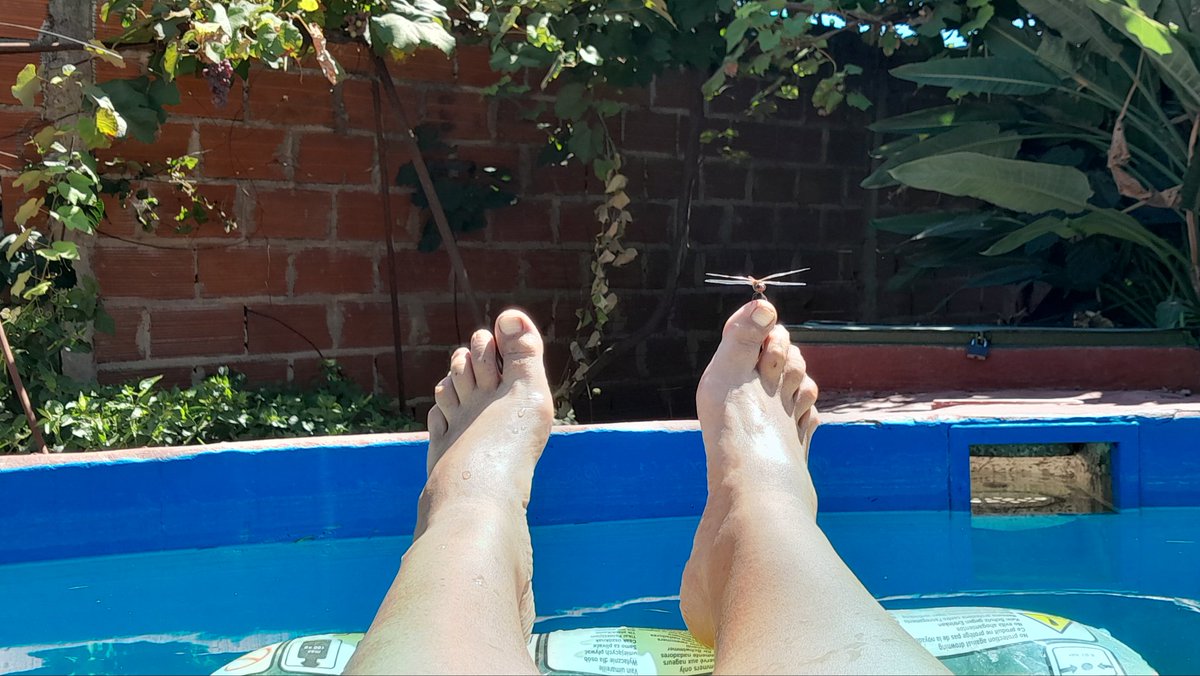 Patricia Fabeiro tweet media