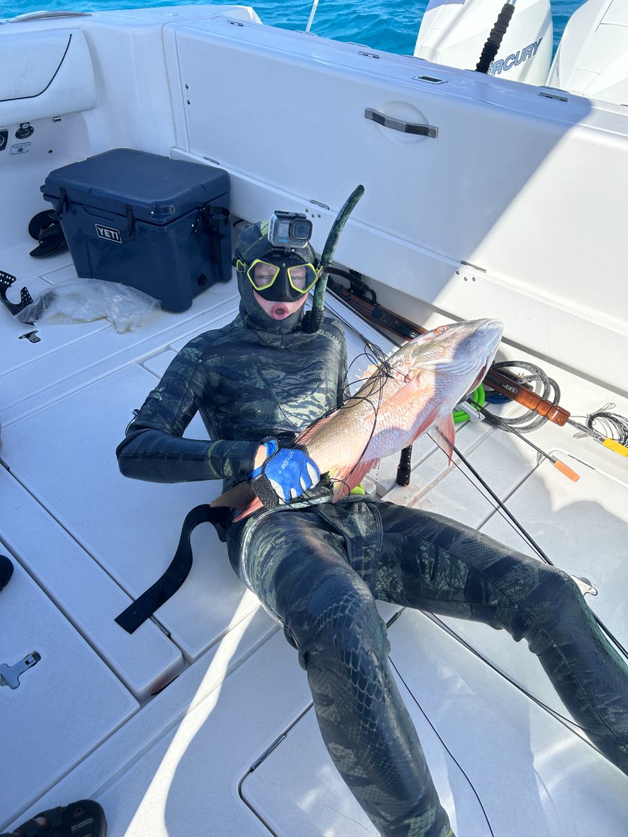Giant Mutton in Biscayne Bay 

#deepbluegiants #waihana #JBLspearguns #RelentlessKnivesUSA #SpearfishMiami
#Spearfishing #Conservation #DeepBlueGiants #VeniVidiFixi #Bahamas #apnea #SpearfishingBahamas #Freediving #Spearfish #Underwater #Fishing #Ocean #Reef #Bimini #Nature