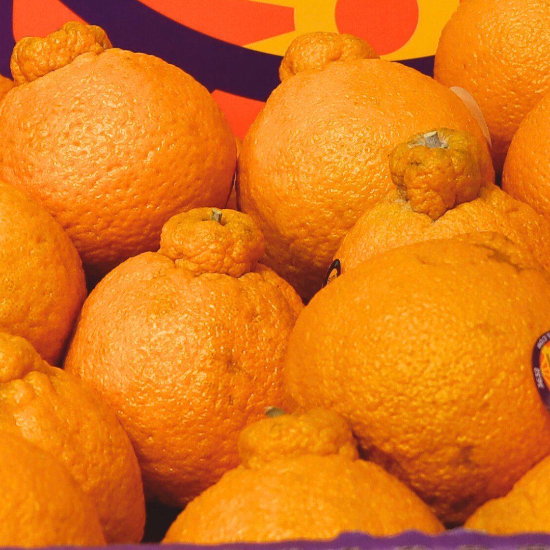 WeaverStreet's tweet photo. 💛Citrus fruits like mandarins symbolize "giving gold" which makes it an auspicious fruit. Giving mandarins is a way to wish loved one's happiness &amp; prosperity for the coming year. Get it at @WeaverStreet today! 🛍️ https://t.co/mXbaKqHEWY