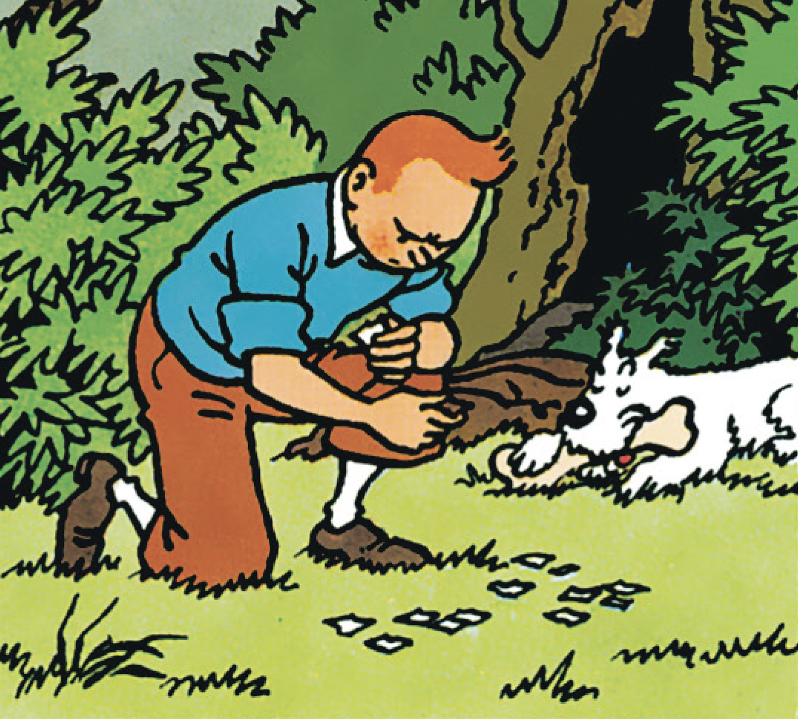Tintin, c'est l'aventure N°16 - Accueil