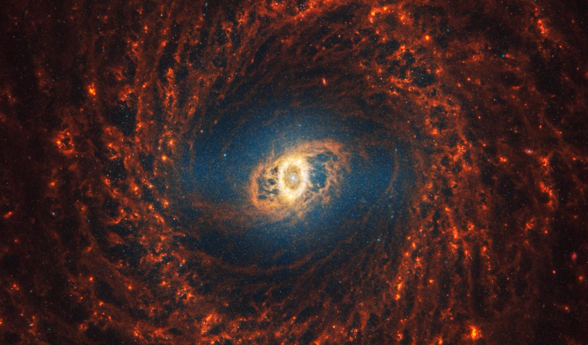 janiceleeastro's tweet photo. @astrojysun Fantastic paper on dust embedded star clusters in NGC 3351, now to be called the Sun Galaxy ;) 
Impeccable timing with new @PHANGSteam image and data release today at https://t.co/n9OkFgr6NZ https://t.co/V5JCWSiDnu