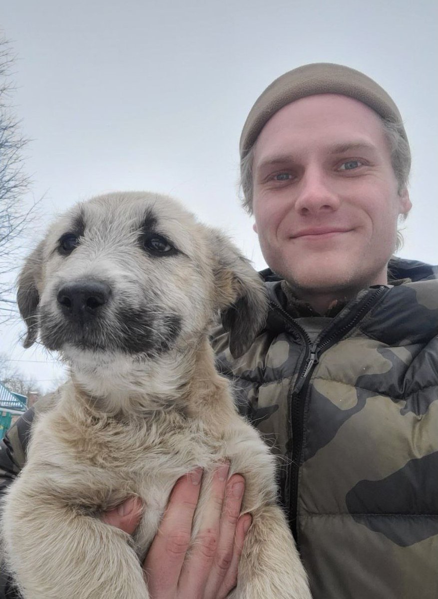 Kramatorsk_Post's tweet photo. This puppy and his brother have been evacuated from  #Kramatorsk. They will live in a safer place, says UAnimals page in Facebook.

#Ukraine️ https://t.co/rZ33jEOuOK