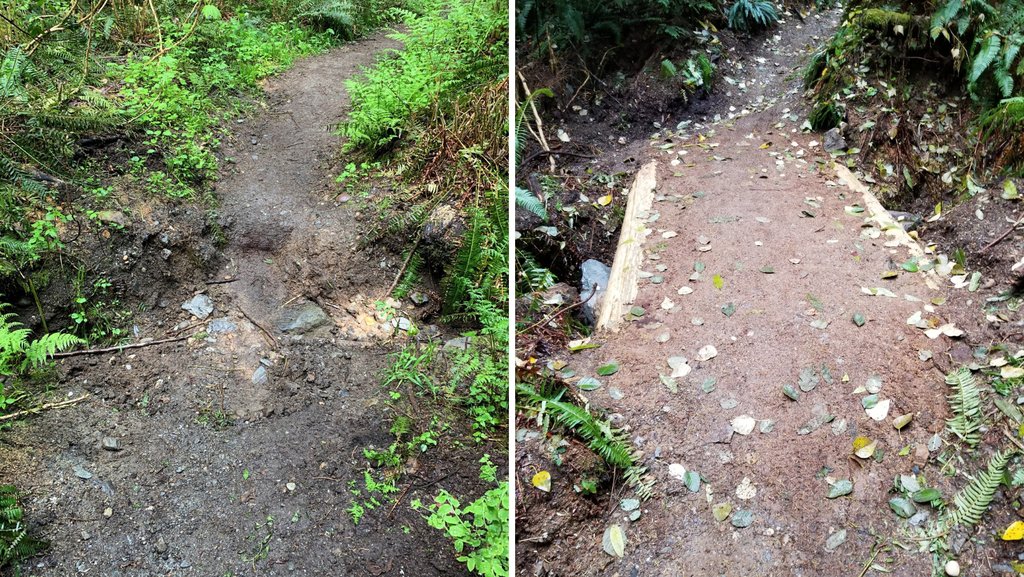 Washington state's legislative session is a key opportunity for trail advocates to speak up in support of trails as legislators work to prioritize funding and policies for the state.

Read about WTA's top priorities for the 2024 session &amp; stay in the loop: l8r.it/6xOL