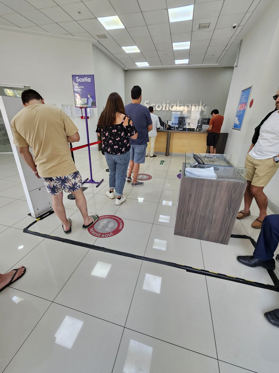 Rodrigo_Soto_A's tweet photo. Horrible atencion en @scotiabank providencia @Scotiaayuda_CL por lo menos una hora de espera para cualquier tramite en servicio al cliente y con suerte atienden 2 personas!!! Mas respeto con sus clientes niuna silla para la espera habiendo adultos mayores aparte de la lentitud https://t.co/svK8UISkaF