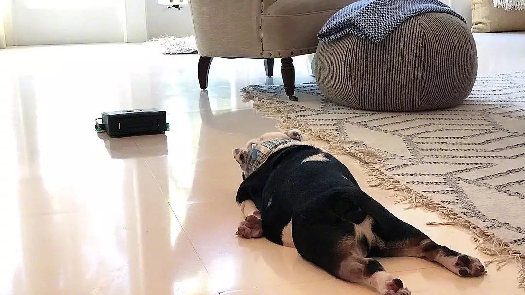 29.   Januar, aber inzwischen fühlt es sich an wie der 74. Januar…
Wem geht es genauso? 🥲
 
📷 @izzy_rizzo_henry