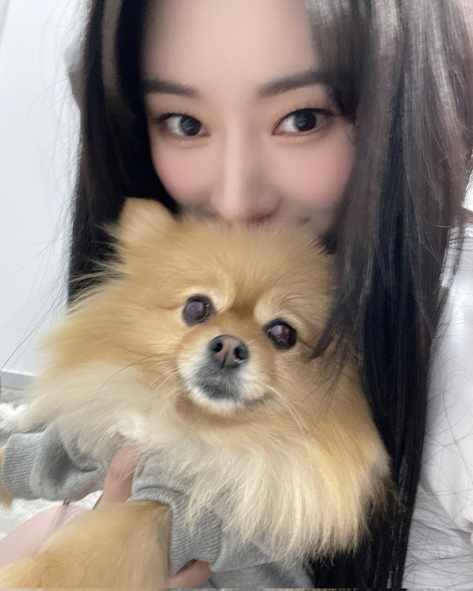 DC_Weverse's tweet photo. 230128 | #수아’s Post 

#SuA: “Our baby ❤️
Pie, I love you ❤️
Family photo ❤️”

@hf_dreamcatcher #Dreamcatcher #드림캐쳐 https://t.co/aK8SNMWE0q