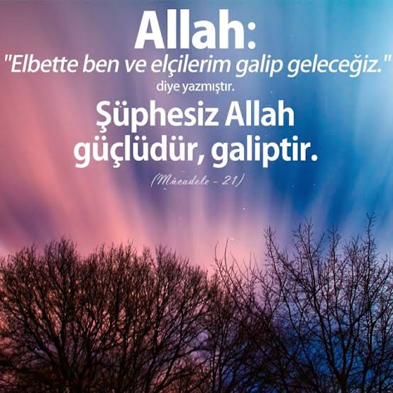 Ş. Hürkuş (@evbaab) on Twitter photo 