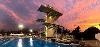 EngageEightCFB's tweet photo. Per sources:
Division growing inside the women’s @FSU_Swimming lockeroom as divers are unhappy about the lineup put forward for the next meet and believe the coach is putting out an inferior lineup. Has diving head coach John Proctor lost the locker room?

#ncaa
#fsudive
 
#acc https://t.co/3qYTj3hC6W