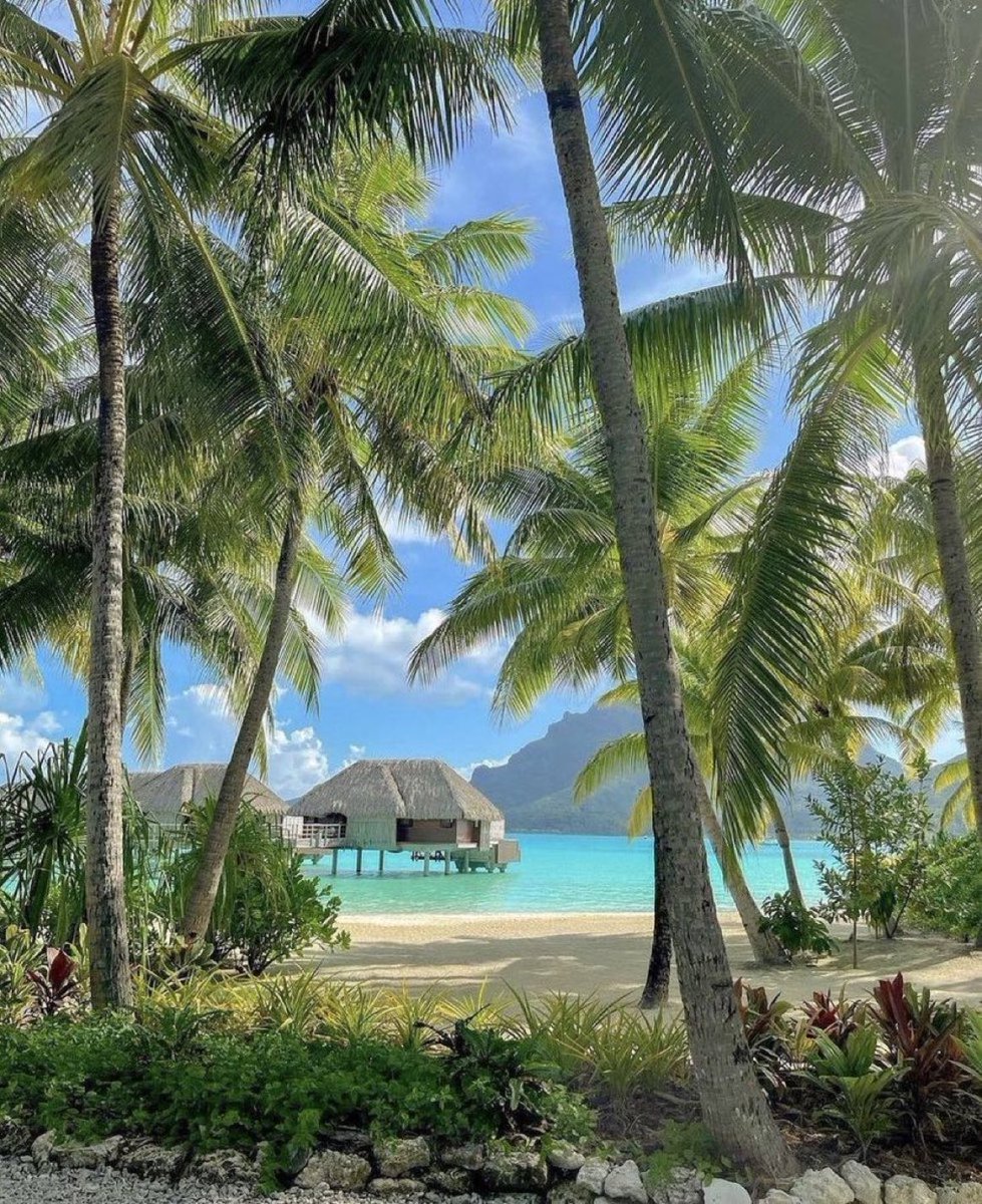 viewsoff_'s tweet image. Bora Bora 🍃
