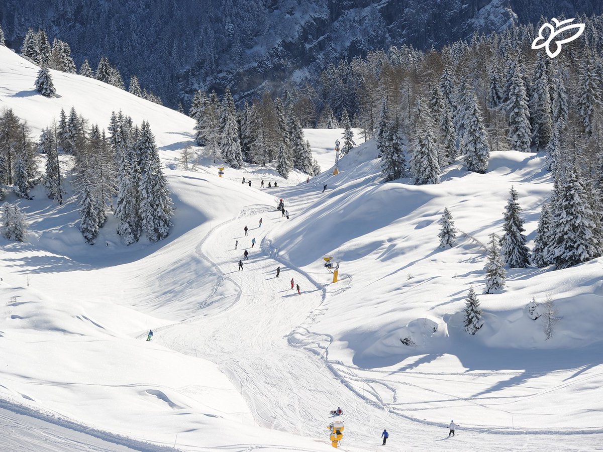 800 kilometres of slopes, all accompanied by the wonderful backdrop of the Dolomites and the Italian Alps. Discover the stunning beauty of Trentino's winter here ➡️ tinyurl.com/ski-in-Trentino [📷 D. Mosna] #visittrentino #trentinowow