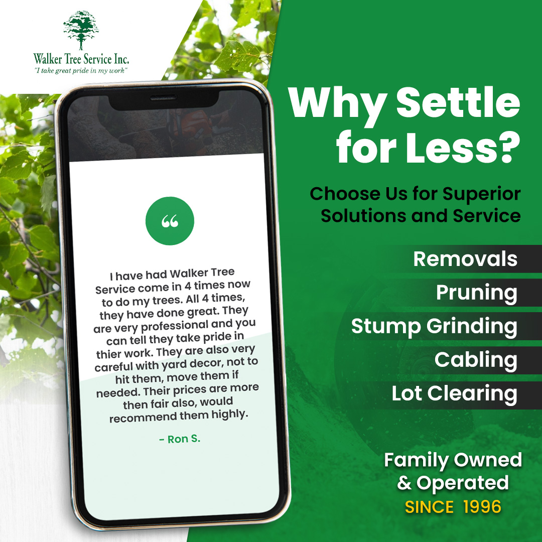 TreeWalker's tweet image. With years of experience and a team of skilled professionals, Walker Tree Service provides superior service for all your tree care needs. Don&apos;t settle for anything less than the best, choose Walker Tree Service today! 
#Trees #WalkerTreeService #NorthoftheRiver #Experienced