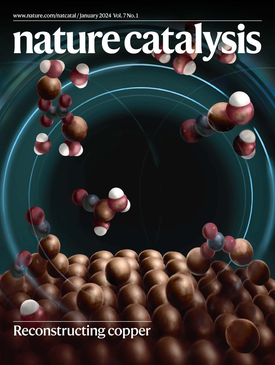 Thank you very much @NatureCatalysis for highlighting our work in the cover! nature.com/natcatal/volum… @FedeDat @TheorHetCatICIQ @AttilaKormanyos @CherevkoSerhiy @NCCR_Catalysis @EPFL_CHEM_Tweet