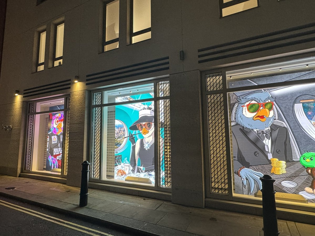 PJPP NFTs look badass on bigger screens ngl 🦉👀❤️