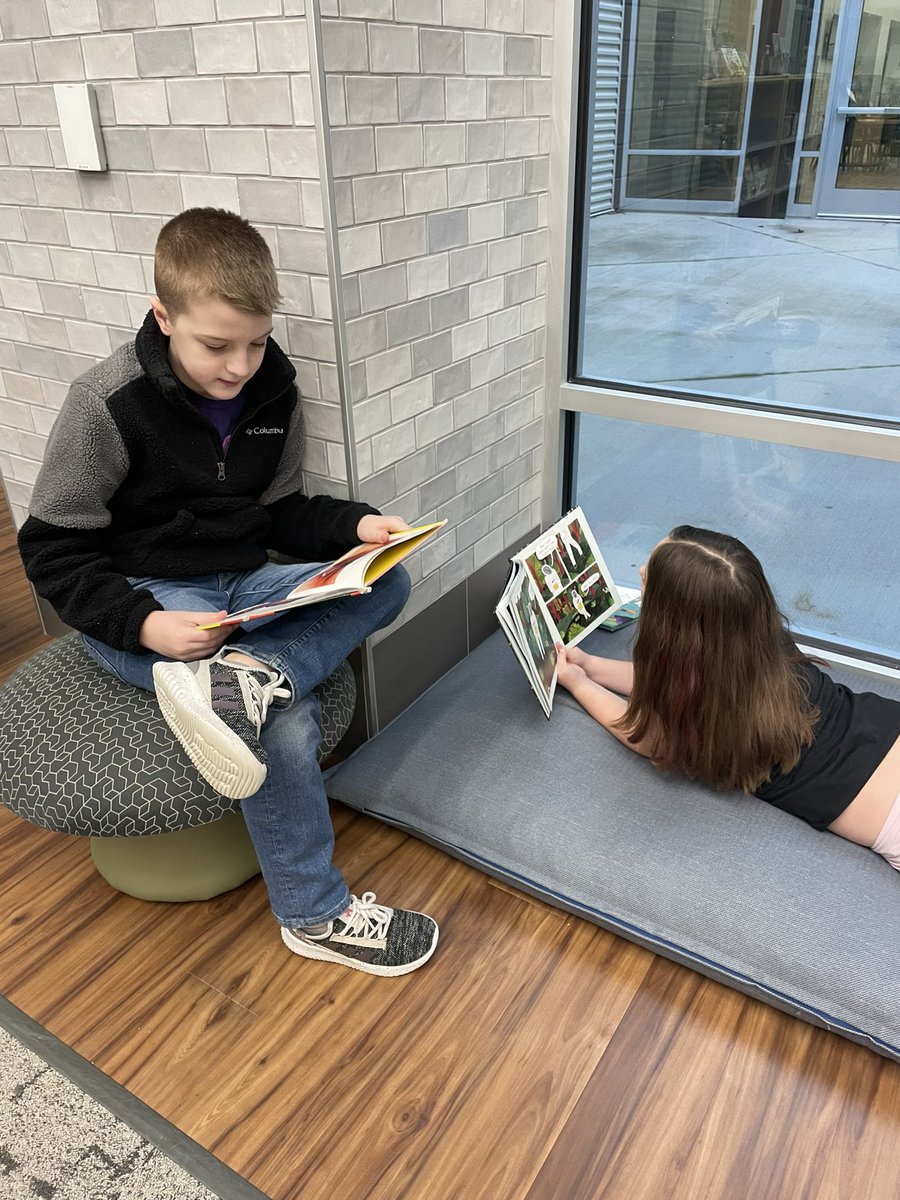 Allison Manion tweet media