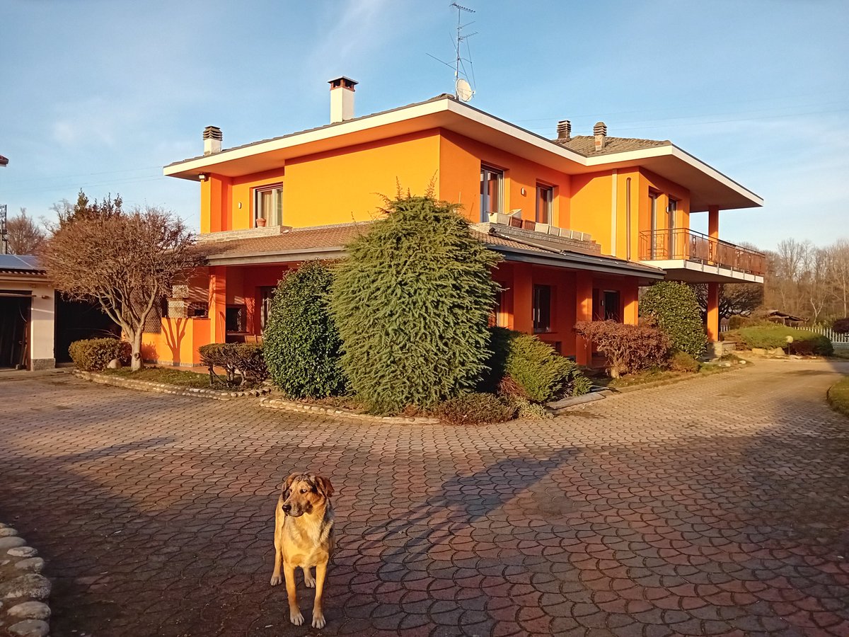 KyaTheAddicted's tweet photo. Now back home. With my homeboy. https://t.co/3BnseI8TAk