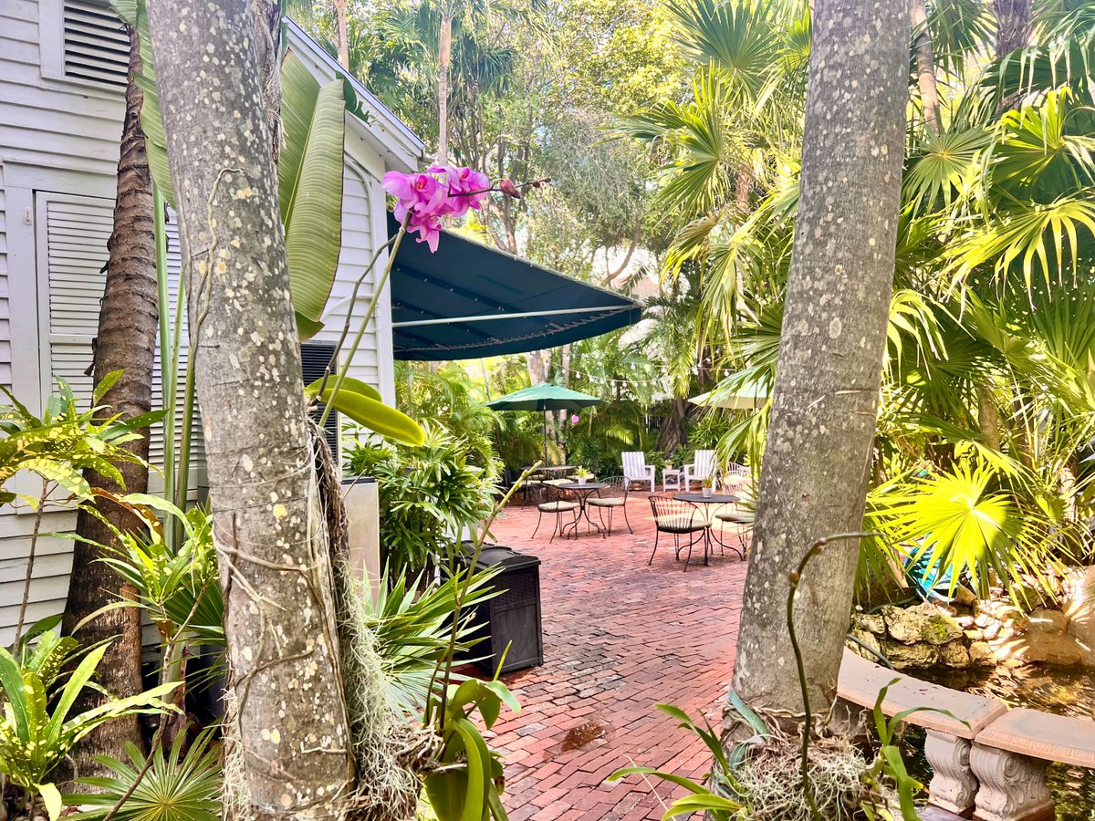oldtownmanorkw's tweet photo. Old Town Manor's orchids are beginning to show off! 🌸 These majestic flowers attach their roots to the palm trees throughotut the property and bloom every winter.
.
.
.
#oldtownmanor #oldtownmanorweddings #keywest #flkeys #lovefl #petfriendly #bedandbreakfast #duvalstreet https://t.co/EytujddcNx