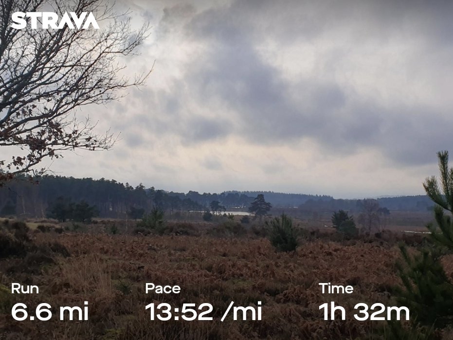 ZhepzyMudRunner's tweet image. I heard a train 🚆 😳 
Beautiful as always! Love this place! #TWC #TwittaWinterChallenge #SonicWinterSprinters