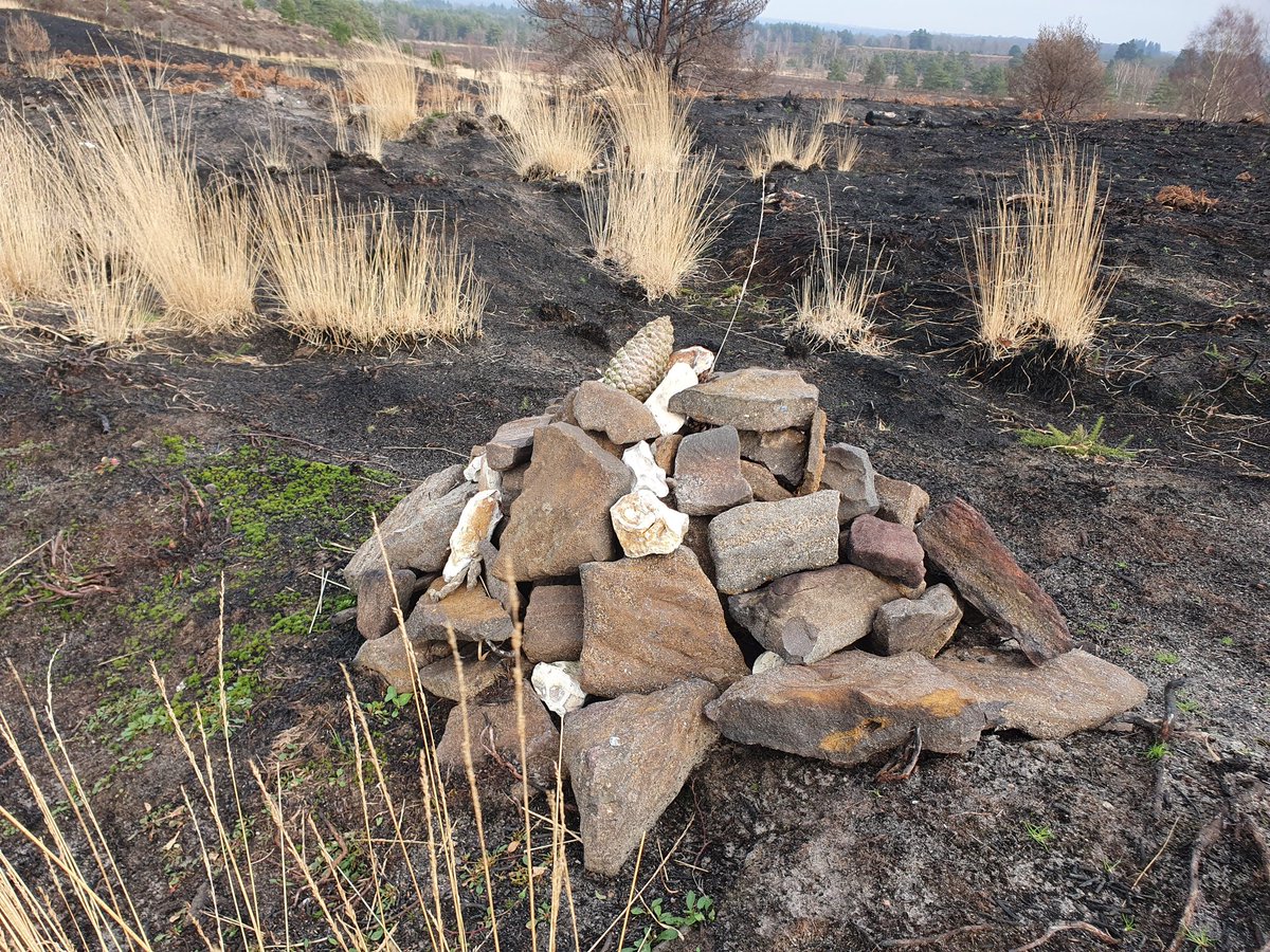 ZhepzyMudRunner's tweet image. I heard a train 🚆 😳 
Beautiful as always! Love this place! #TWC #TwittaWinterChallenge #SonicWinterSprinters