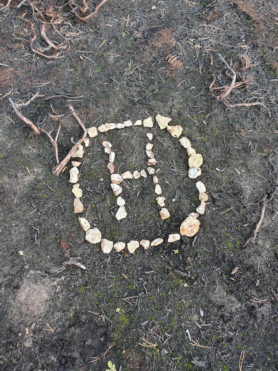 ZhepzyMudRunner's tweet image. I heard a train 🚆 😳 
Beautiful as always! Love this place! #TWC #TwittaWinterChallenge #SonicWinterSprinters