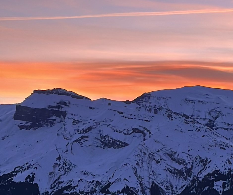 Case Management Cym tweet media