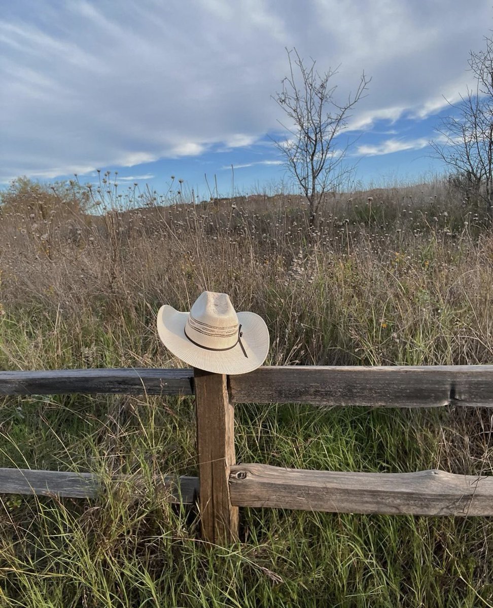 PHX01OLV's tweet photo. ⠀⠀⠀⠀
⠀⠀⠀⠀   ───   ٬  updαte post ׁ
⠀⠀⠀﹫oliviaolivia on 𝗶𝗻𝘀𝘁𝗮𝗴𝗿𝗮𝗺.
⠀⠀⠀⠀
farm dump https://t.co/kfVgHmpXy5